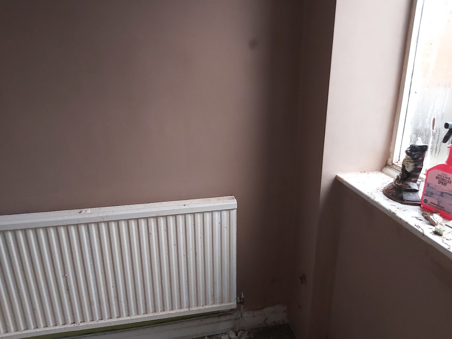C&S plastering & Rendering — Photos 1